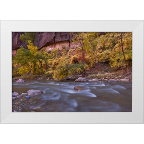 USA, Utah, Zion NP Autumn on the Virgin River White Modern Wood Framed Art Print by Illg, Cathy and Gordon