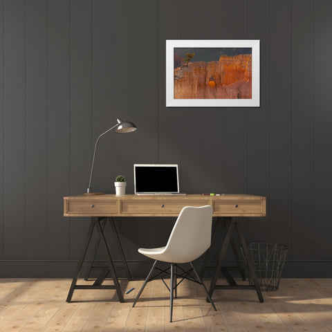 Utah, Bryce Canyon Tree in rock formation White Modern Wood Framed Art Print by Illg, Cathy and Gordon