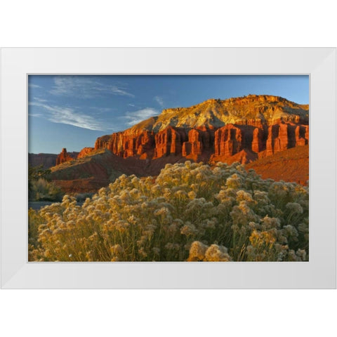 UT, Capitol Reef NP Sunset of Panorama Point White Modern Wood Framed Art Print by Illg, Cathy and Gordon