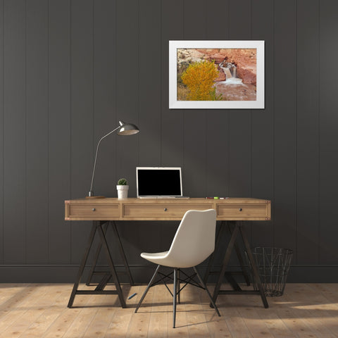 UT, Capitol Reef NP Waterfall on Fremont River White Modern Wood Framed Art Print by Illg, Cathy and Gordon