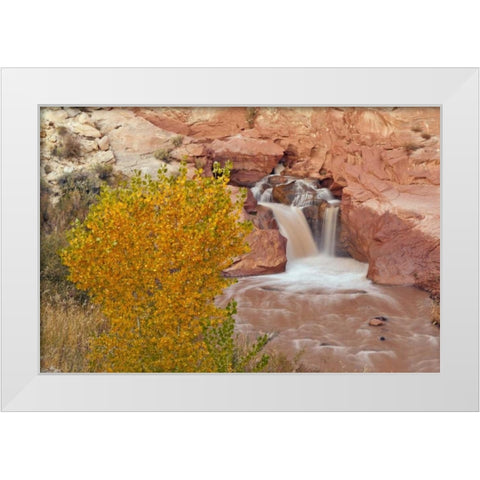 UT, Capitol Reef NP Waterfall on Fremont River White Modern Wood Framed Art Print by Illg, Cathy and Gordon