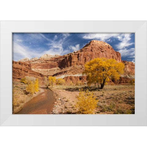 Utah, Capitol Reef Creek and autumn landscape White Modern Wood Framed Art Print by Illg, Cathy and Gordon
