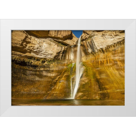 UT, Grand Staircase Escalante, Calf Creek Falls White Modern Wood Framed Art Print by Illg, Cathy and Gordon