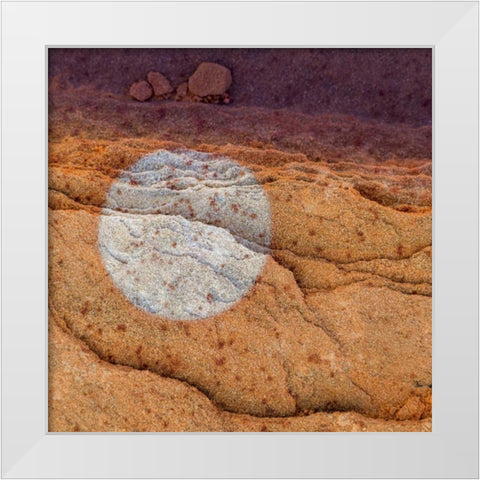 Utah Circular bleaching pattern in sandstone White Modern Wood Framed Art Print by Paulson, Don