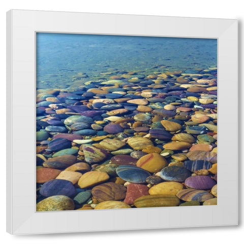 USA, Utah Colorful rocks in Lake Powell White Modern Wood Framed Art Print by Paulson, Don