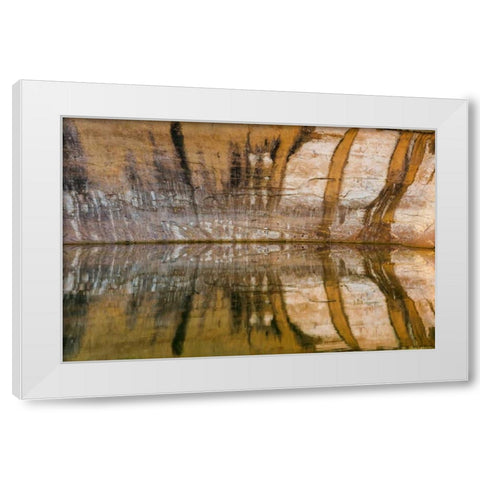 Utah, Glen Canyon Abstract reflection sandstone White Modern Wood Framed Art Print by Paulson, Don