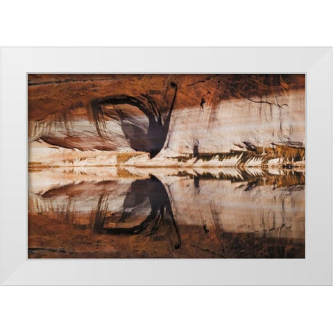 UT, Glen Canyon Abstract stained sandstone wall White Modern Wood Framed Art Print by Paulson, Don