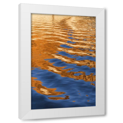 Utah, Glen Canyon Reflection in Lake Powell White Modern Wood Framed Art Print by Paulson, Don