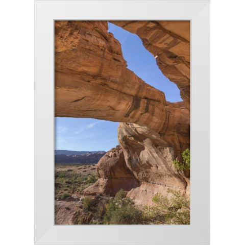 Utah, Glen Canyon NRA Close-up of Jacks Arch White Modern Wood Framed Art Print by Paulson, Don
