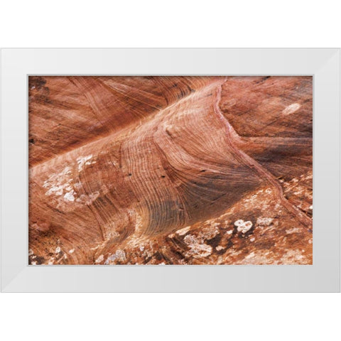 UT, Glen Canyon Patterns in rock formation White Modern Wood Framed Art Print by Paulson, Don