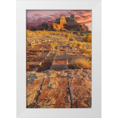 Utah, Glen Canyon Sunset on sandstone formations White Modern Wood Framed Art Print by Paulson, Don