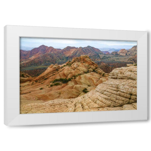 Utah Landscape in Dixie National Forest White Modern Wood Framed Art Print by Paulson, Don