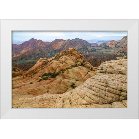 Utah Landscape in Dixie National Forest White Modern Wood Framed Art Print by Paulson, Don