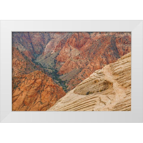 Utah Landscape in Dixie National Forest White Modern Wood Framed Art Print by Paulson, Don