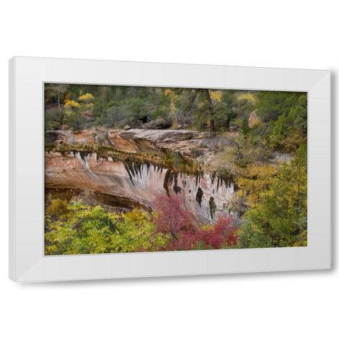 USA, Utah, Zion NP Emerald Pool Trail scenic White Modern Wood Framed Art Print by Bush, Marie