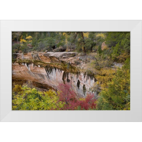 USA, Utah, Zion NP Emerald Pool Trail scenic White Modern Wood Framed Art Print by Bush, Marie
