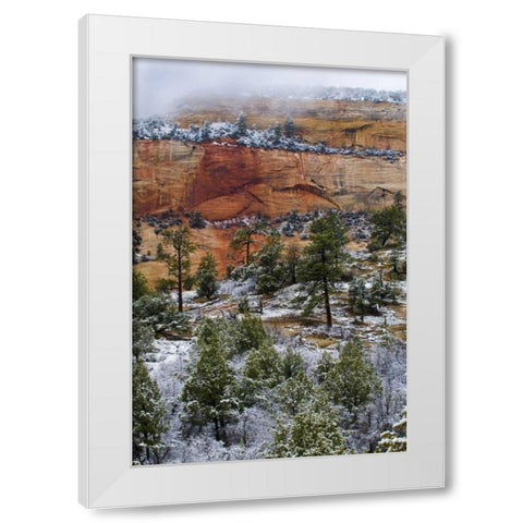 USA, Utah, Zion NP Winter scenic White Modern Wood Framed Art Print by Rotenberg, Nancy
