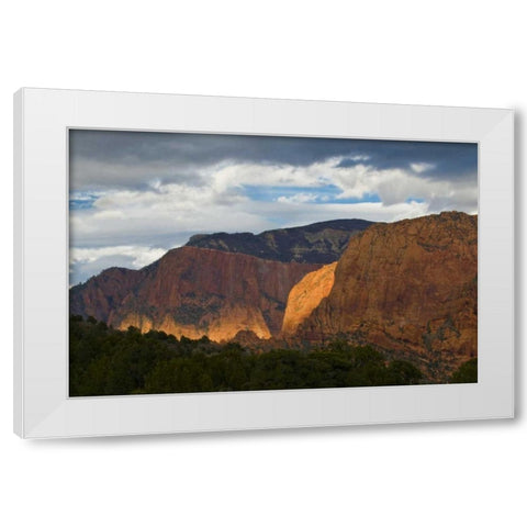 USA, Utah, Zion NP Late light on Kolob Canyon White Modern Wood Framed Art Print by Rotenberg, Nancy