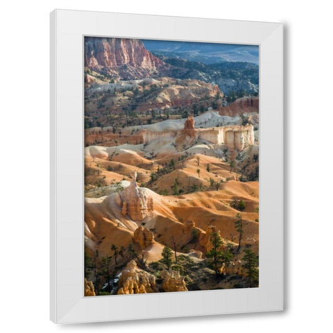 USA, Utah Hoodoo formations in Bryce Canyon NP White Modern Wood Framed Art Print by Rotenberg, Nancy