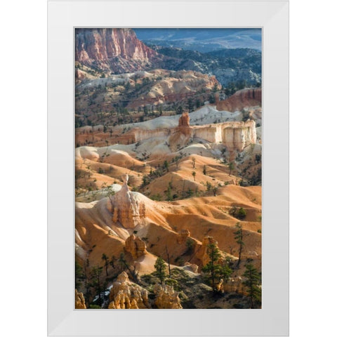 USA, Utah Hoodoo formations in Bryce Canyon NP White Modern Wood Framed Art Print by Rotenberg, Nancy