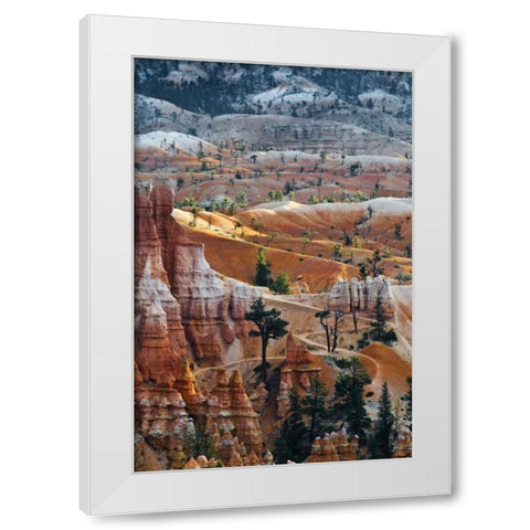 USA, Utah Hoodoo formations in Bryce Canyon NP White Modern Wood Framed Art Print by Rotenberg, Nancy