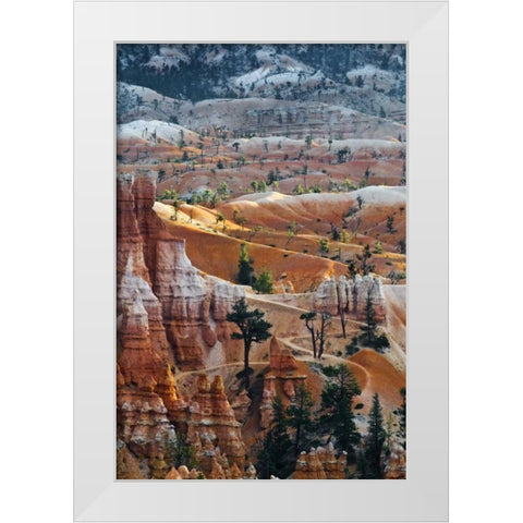 USA, Utah Hoodoo formations in Bryce Canyon NP White Modern Wood Framed Art Print by Rotenberg, Nancy