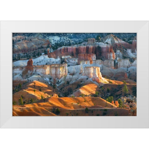 USA, Utah Hoodoo formations in Bryce Canyon NP White Modern Wood Framed Art Print by Rotenberg, Nancy