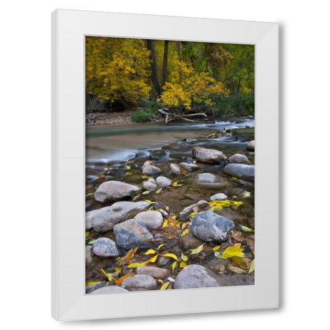 Utah, Zion NP The Narrows with fallen leaves White Modern Wood Framed Art Print by Rotenberg, Nancy