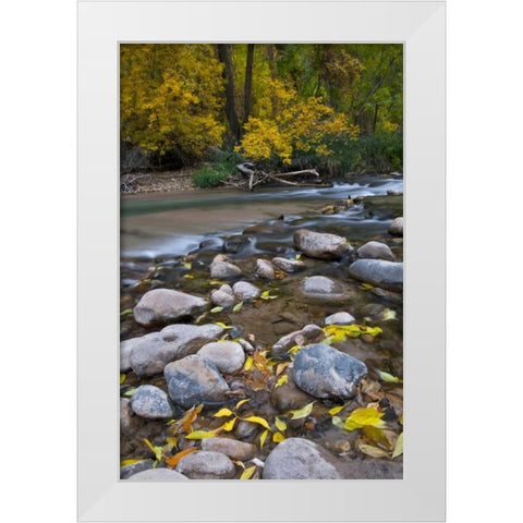 Utah, Zion NP The Narrows with fallen leaves White Modern Wood Framed Art Print by Rotenberg, Nancy