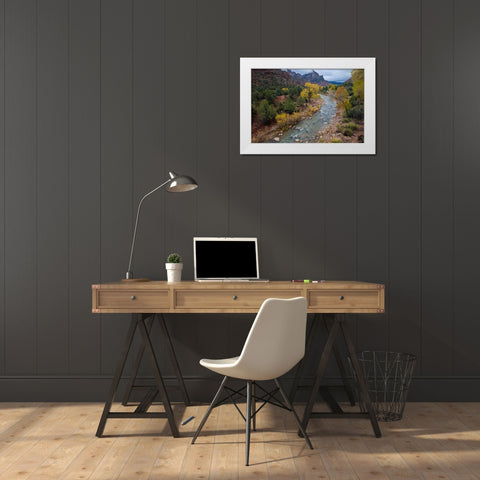 Utah, Zion NP Virgin River and cottonwood trees White Modern Wood Framed Art Print by Rotenberg, Nancy