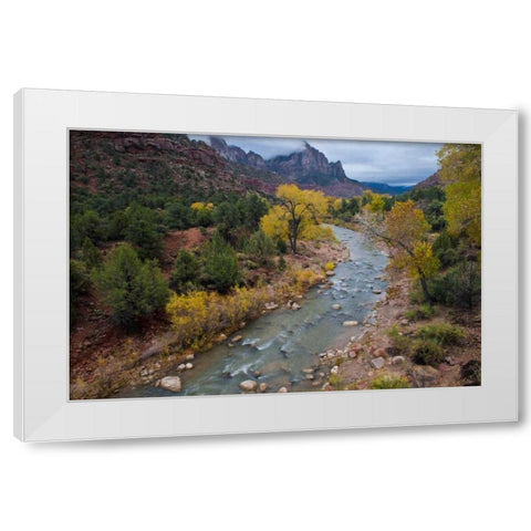 Utah, Zion NP Virgin River and cottonwood trees White Modern Wood Framed Art Print by Rotenberg, Nancy