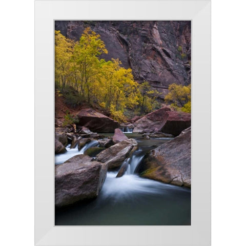 Utah, Zion NP Canyon waterfall with cottonwoods White Modern Wood Framed Art Print by Rotenberg, Nancy