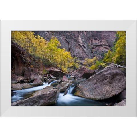 Utah, Zion NP Canyon waterfall with cottonwoods White Modern Wood Framed Art Print by Rotenberg, Nancy