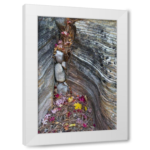 UT, Zion NP Canyon crevice with fallen leaves White Modern Wood Framed Art Print by Rotenberg, Nancy