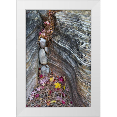 UT, Zion NP Canyon crevice with fallen leaves White Modern Wood Framed Art Print by Rotenberg, Nancy