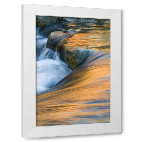 UT, Zion NP Canyon and sky in the Virgin River White Modern Wood Framed Art Print by Rotenberg, Nancy