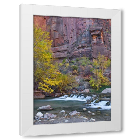UT, Zion NP The Narrows with cottonwood trees White Modern Wood Framed Art Print by Rotenberg, Nancy