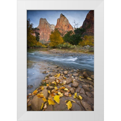 UT, Zion NP The Sentinel and the Virgin River White Modern Wood Framed Art Print by Rotenberg, Nancy