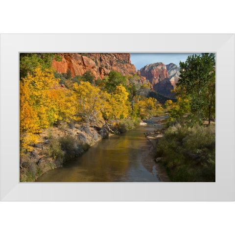 UT, Zion NP Zion Canyon and Virgin River White Modern Wood Framed Art Print by Rotenberg, Nancy