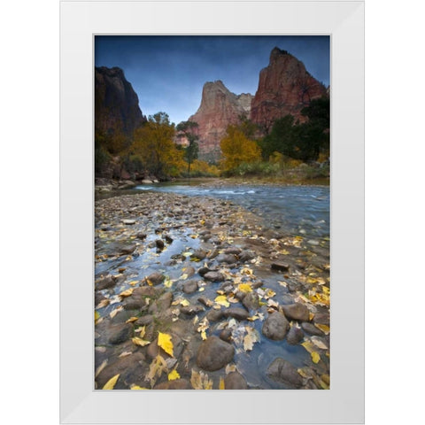 UT, Zion NP The Sentinel and the Virgin River White Modern Wood Framed Art Print by Rotenberg, Nancy