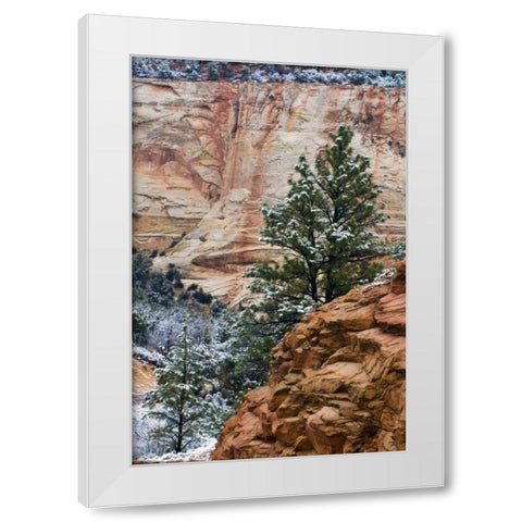 USA, Utah, Zion NP Winter scenic White Modern Wood Framed Art Print by Rotenberg, Nancy