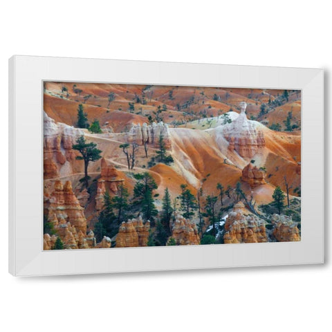 USA, Utah Hoodoo formations in Bryce Canyon NP White Modern Wood Framed Art Print by Rotenberg, Nancy