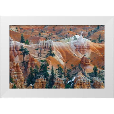 USA, Utah Hoodoo formations in Bryce Canyon NP White Modern Wood Framed Art Print by Rotenberg, Nancy