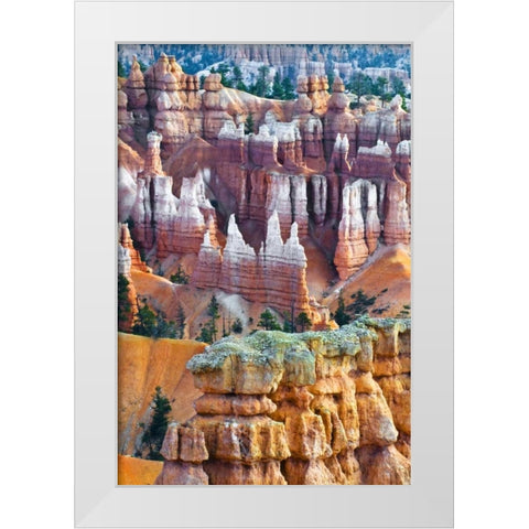 USA, Utah Hoodoo formations in Bryce Canyon NP White Modern Wood Framed Art Print by Rotenberg, Nancy
