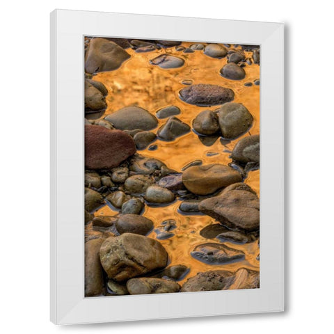 USA, Utah, Zion NP Rocks in water White Modern Wood Framed Art Print by OBrien, Jay