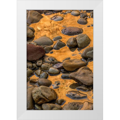 USA, Utah, Zion NP Rocks in water White Modern Wood Framed Art Print by OBrien, Jay