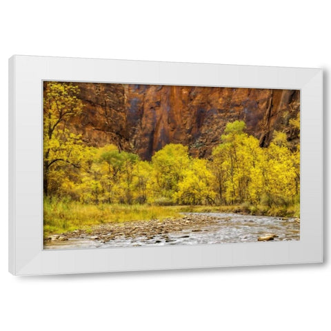 USA, Utah, Zion NP Stream in autumn landscape White Modern Wood Framed Art Print by OBrien, Jay