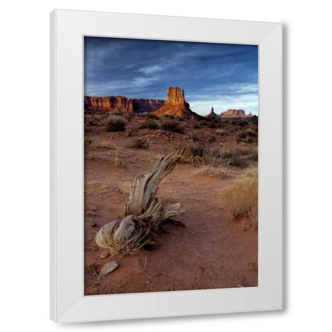 Utah, Monument Valley Eroded rock formations White Modern Wood Framed Art Print by OBrien, Jay