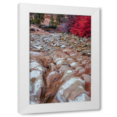 USA, Utah, Zion NP Ground rock pattern White Modern Wood Framed Art Print by OBrien, Jay