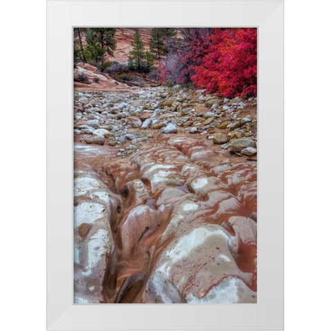 USA, Utah, Zion NP Ground rock pattern White Modern Wood Framed Art Print by OBrien, Jay